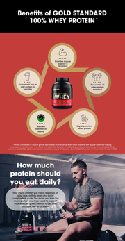 Optimum Nutrition 100% Gold Standard Whey